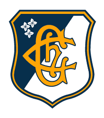 Logo Champagnat